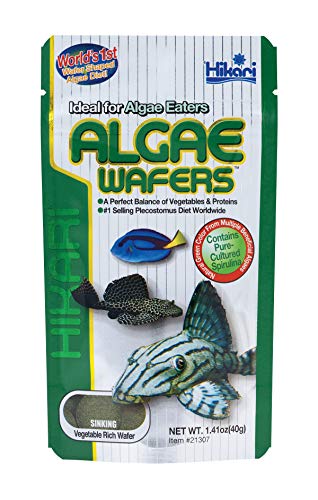 Hikari Algae Wafers - 1.41 oz  