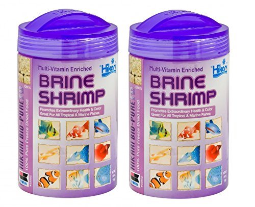 Hikari Bio-Pure Freeze-Dried Brine Shrimp - Cubes - .42 oz  