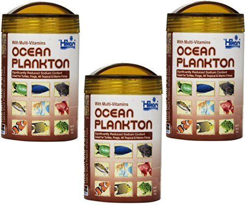 Hikari Bio-Pure Freeze-Dried Ocean Plankton - Cubes - .42 oz  