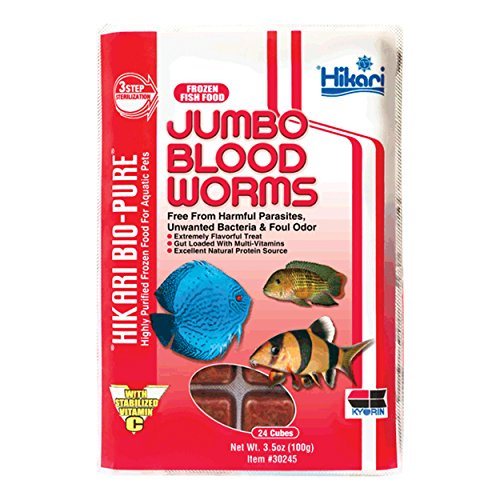 Hikari Bio-Pure Frozen Jumbo Blood Worms - Cubes - 3.5 oz - Pack of 12  