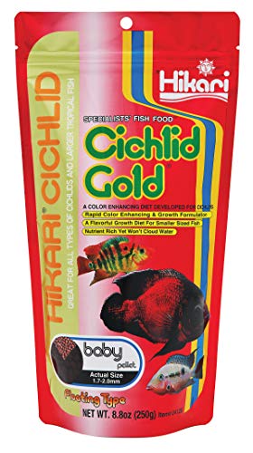 Hikari Cichlid Gold - Baby Pellets - 8.8 oz