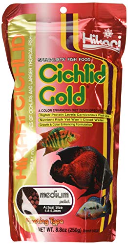 Hikari Cichlid Gold - Medium Pellets - 8.8 oz  