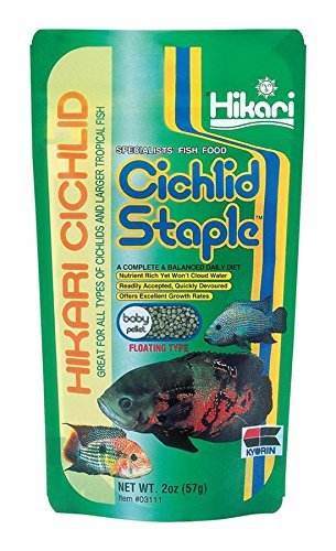 Hikari Cichlid Staple - Baby Pellets - 2 oz  