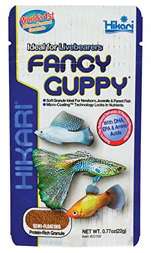 Hikari Fancy Guppy - 0.77 oz