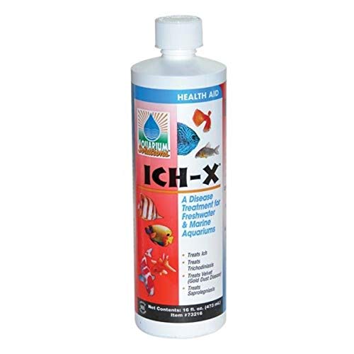 Hikari Ich-X - 16 fl oz  