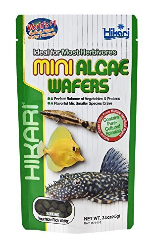 Hikari Mini Algae Wafers - 3 oz  