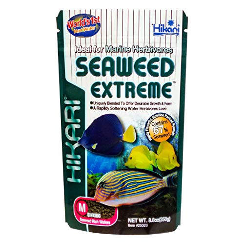 Hikari Seaweed Extreme - Medium Wafers - 3.16 oz  