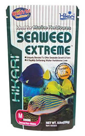 Hikari Seaweed Extreme - Medium Wafers - 8.8 oz