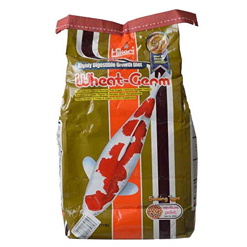 Hikari Wheat-Germ - Medium Sinking Pellets - 11 lb
