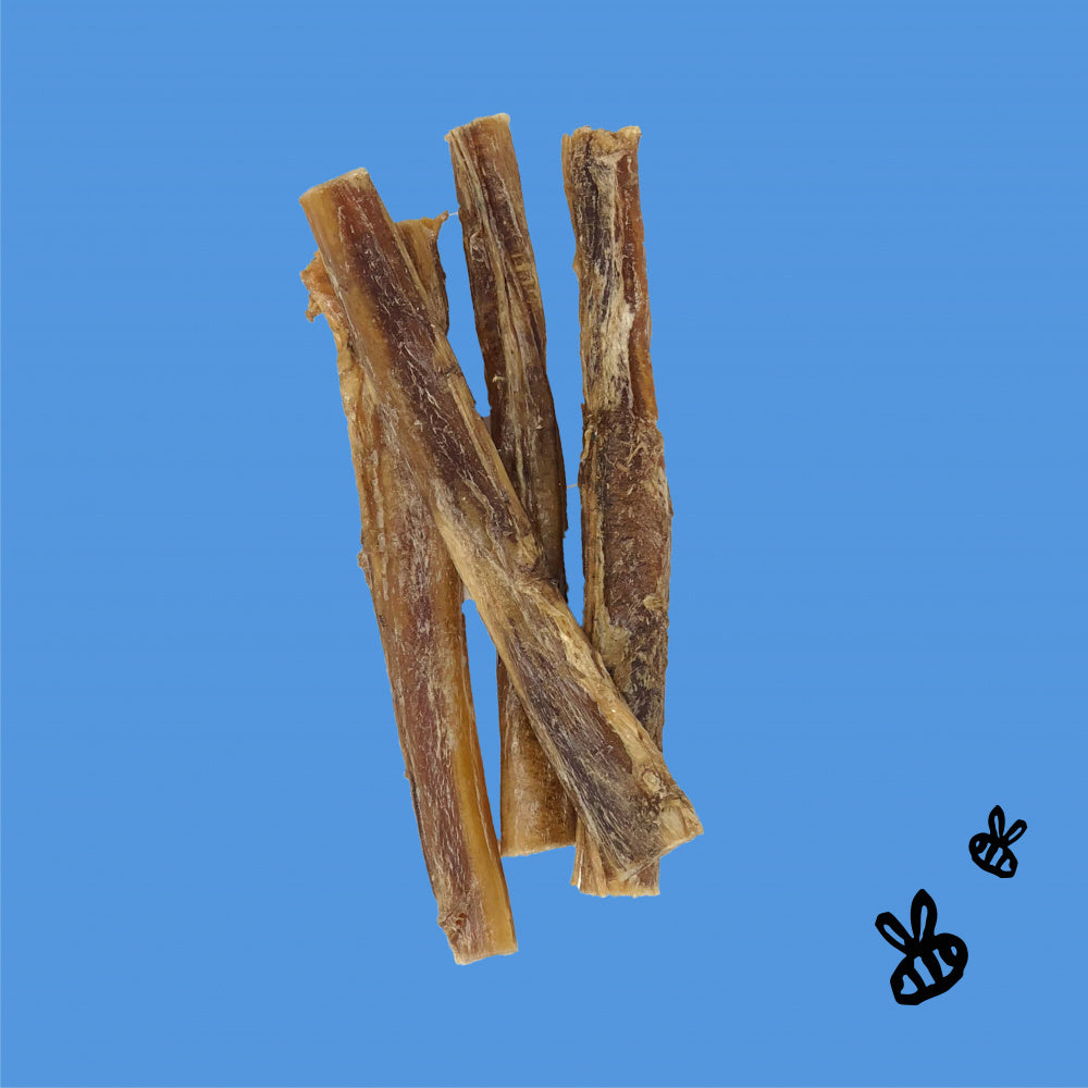 Honey I'm Home Natural Honey Coated Bully Sticks Buffalo Dog Chews  