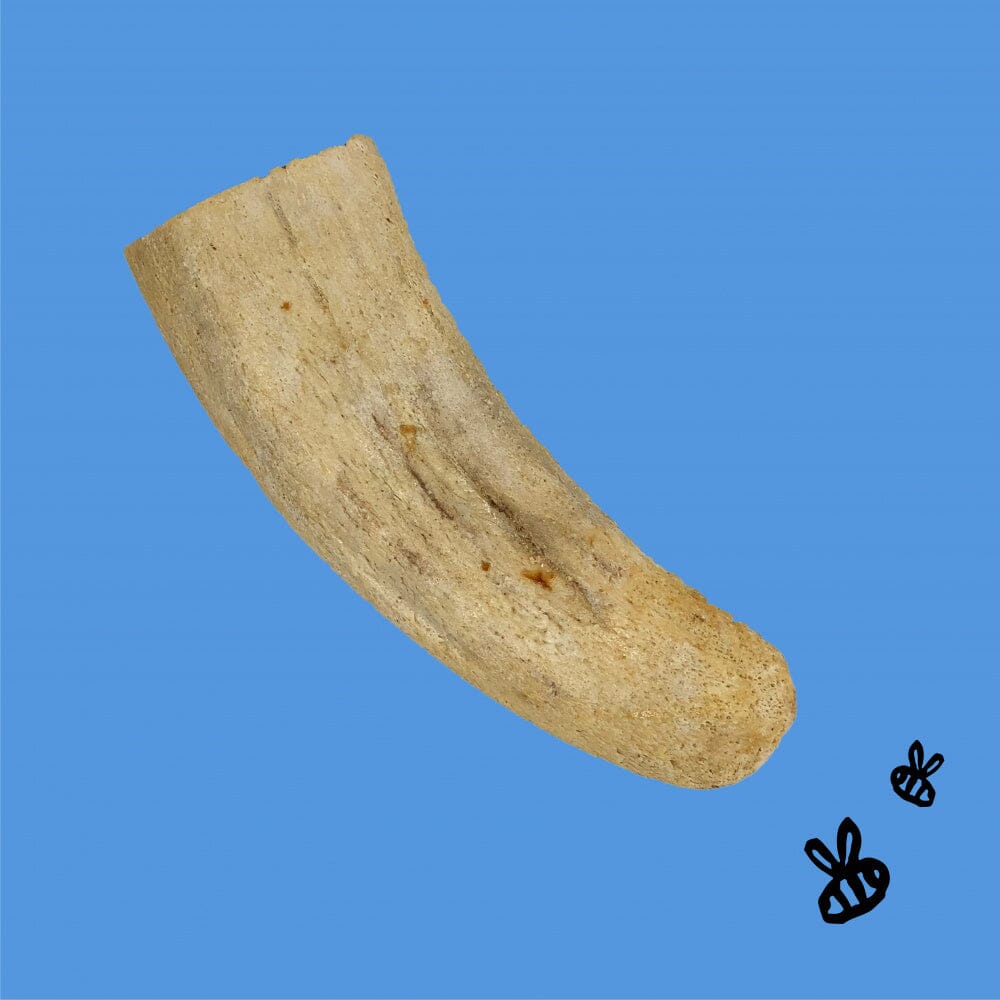 Honey I'm Home Natural Honey Coated Horn Core Buffalo Dog Chews  