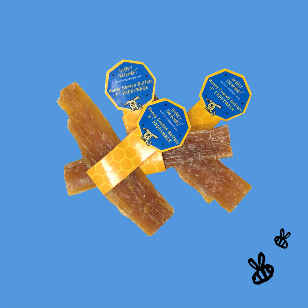Honey I'm Home Natural Honey Coated Paddywack Buffalo Dog Chews  