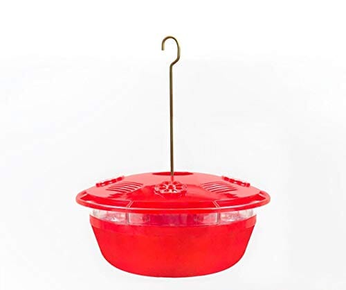 Humm-Bug Humm-Yumm Protein + Nectar Hummingbird Feeder  