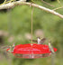 Hummzinger Excel Hummingbird Feeder - Red - 16 Oz Cap  