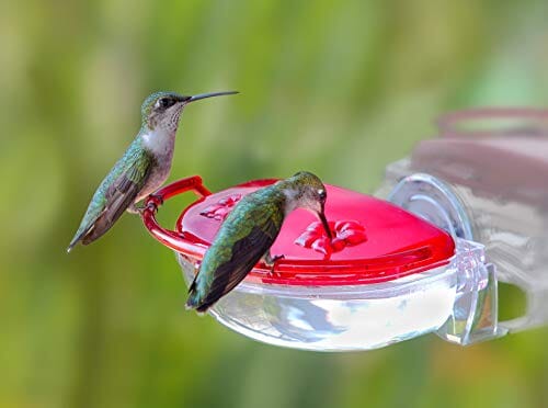 Hummzinger Gem Window Hummingbird Feeder - Red - 4 Oz  