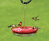 Hummzinger Highview Hummingbird Feeder - Red/Clear - 12 Oz Cap  