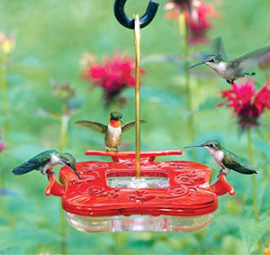Hummzinger Highview Square Hummingbird Feeder - Red - 9 Oz Cap