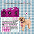 I And Love And You Grain Free Moo Moo Venison Stew Canned Dog Food  