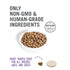 I and Love and You Naked Essentials Ancient Grains Beef & Lamb Recipe Dry Dog Food  