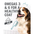 I and Love and You Naked Essentials Grain Free Lamb & Bison Dry Dog Food  