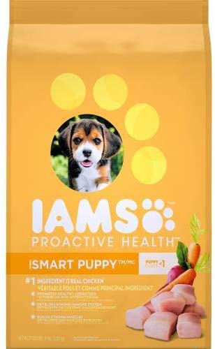 Iams ProActive Smart Chicken, Fruits and Berries Puppy Dry Dog Food - 15 lb Bag  