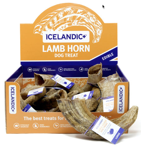 Icelandic+ Large Lamb Horn Display Natural Dog Chews - 12 Count  
