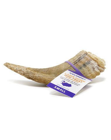 Icelandic+ Small Lamb Horn with Marrow Natural Dog Chews - 36 Count  