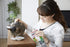 Inaba Chicken Fillet Grilled with Flavored Broth Cat Treats - Shrimp - .9 Oz - 6 Pack  