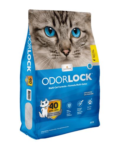Intersand Classic Premium Clumping Odor Lock Cat Litter - Baby Powder #25  