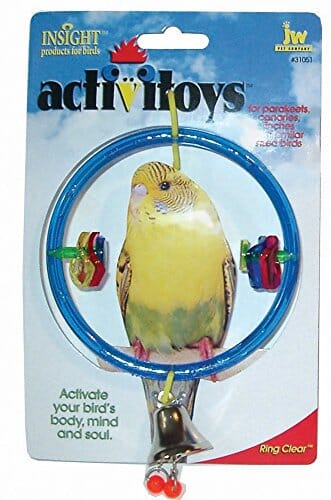 JW Pet Activitoys Ring Clear Plastic Bird Toy