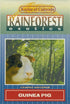 Kaylor of Colorado Guinea Pig Rainforest Small Animal Foods - 6 lb Bag  