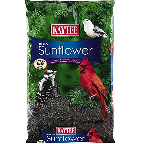 Kaytee Black Oil Sunflower Food - 10 lb  