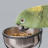 Kaytee EZ Care Pet Bird T-Stand - Large  