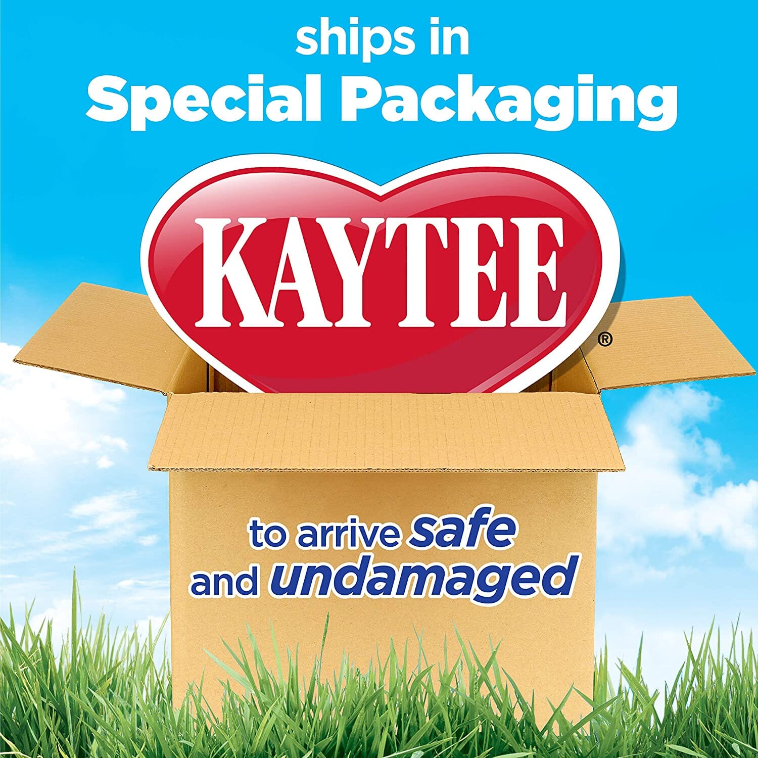 Kaytee Koi's Choice Koi Floating Fish Food - 25 Lb Bag  