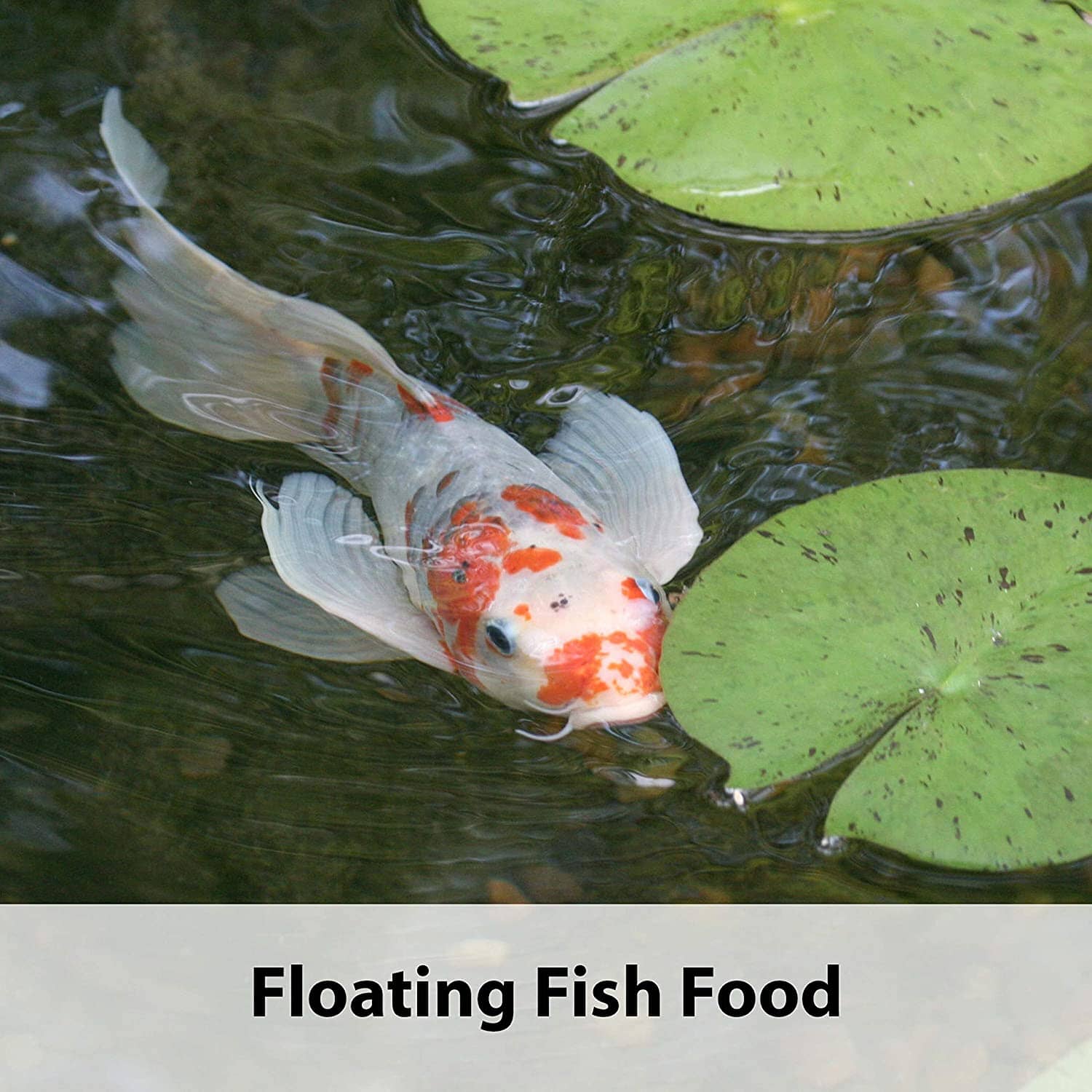 Kaytee Koi's Choice Koi Floating Fish Food - 3 lb  