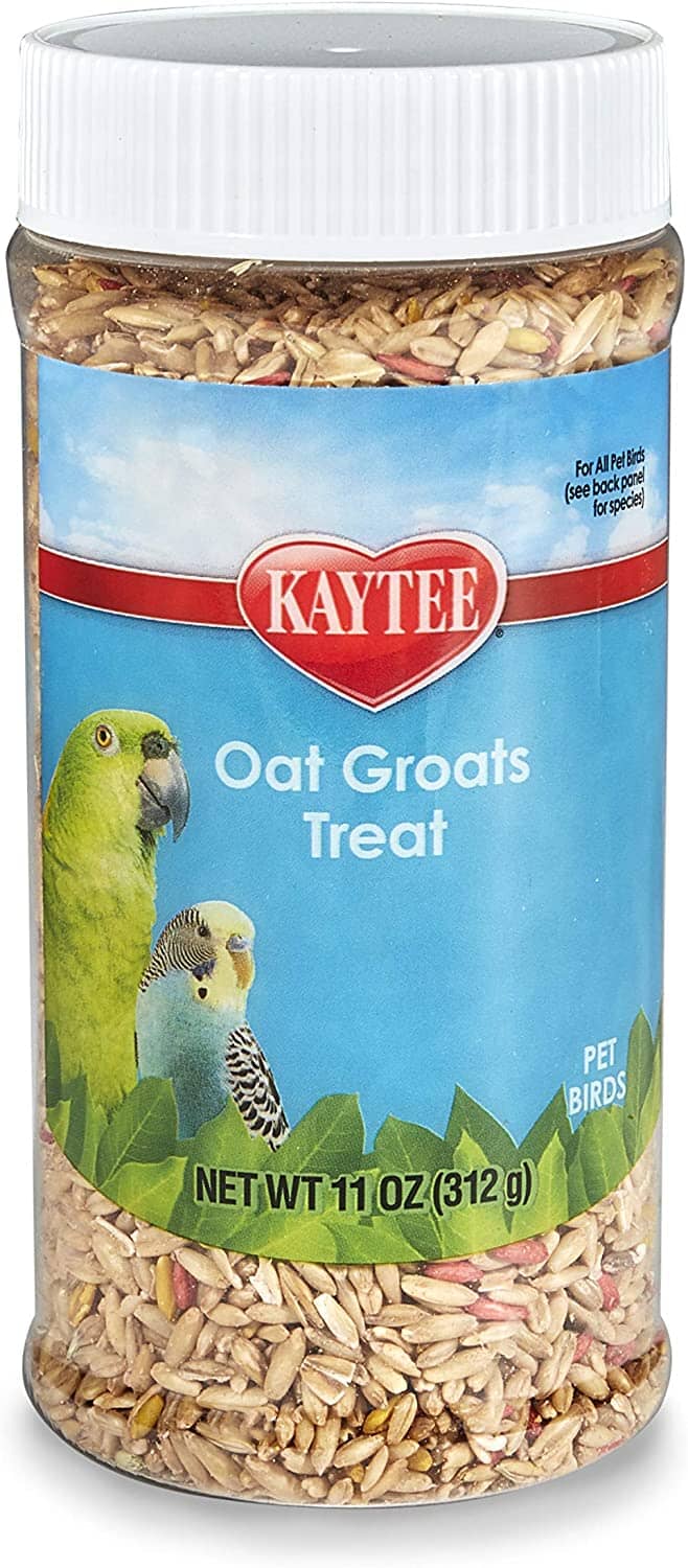 Kaytee Oat Groats Treat Jar-- All Pet Birds - 11 Oz  