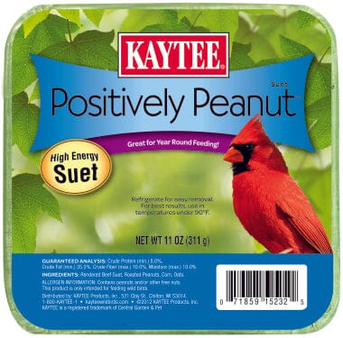 Kaytee Positively Peanut High Energy Mini Suet - 11 Oz  