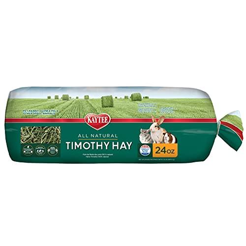 Kaytee Timothy Hay Mini Bale - 24 oz  