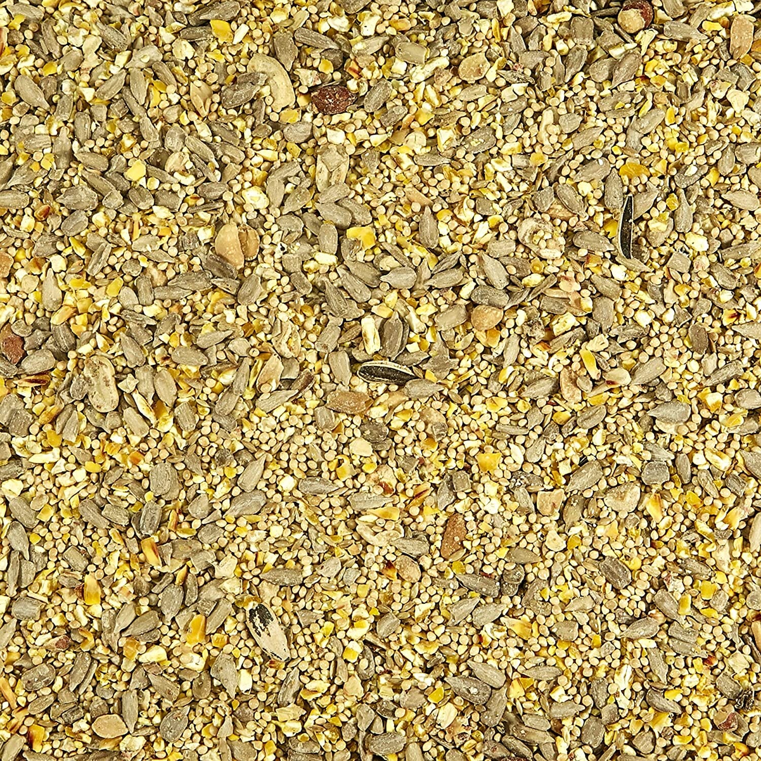 Kaytee Waste Free Blend Wild Bird Food - 5 lb  