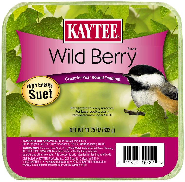 Kaytee Wild Berry High Energy Mini Suet - 11.75 Oz  