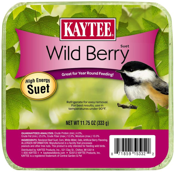 Kaytee Wild Berry High Energy Mini Suet - 11.75 Oz