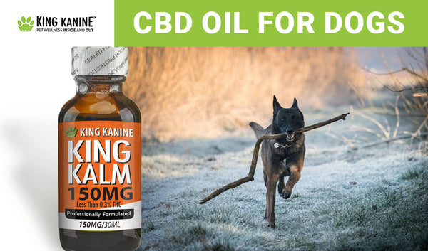 King Kalm All-Natural Formula Cat and Dog CBD Supplements - 150mg  