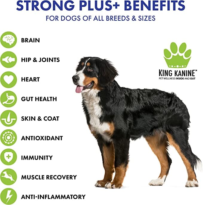 King Kanine King Wellness Strong Dog Supplements - 6 Oz  