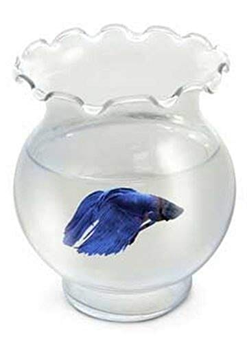 Koller Products Aqua Accents Glass Betta Tulip Aquarium Bowl - 30 Oz  