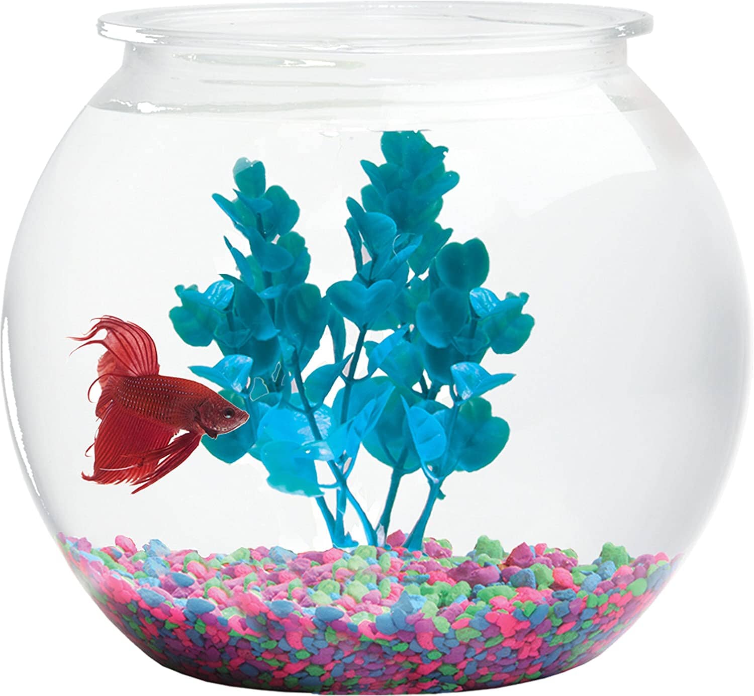 Koller Products Aqua Accents Plastic Round Aquarium Bowl - 1 Gal  