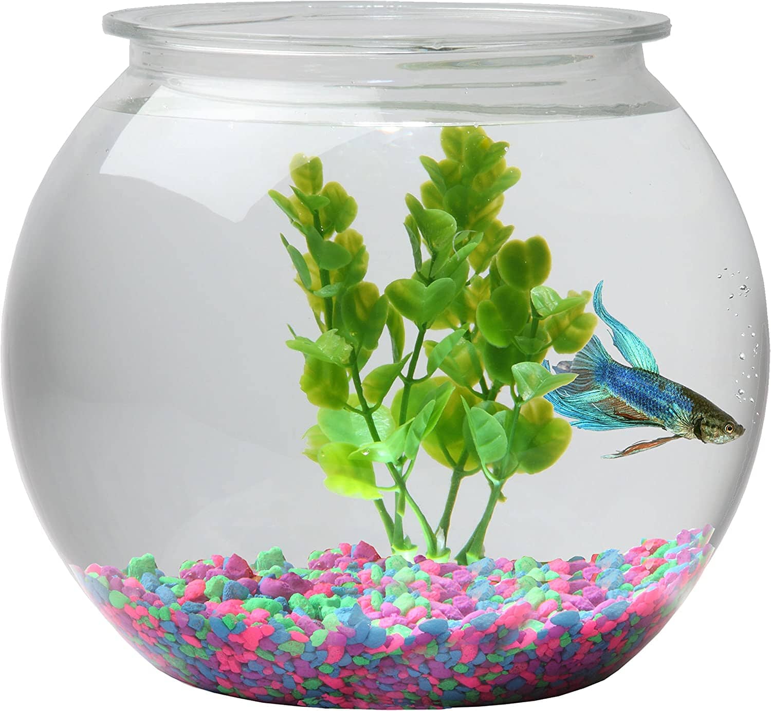 Koller Products Aqua Accents Plastic Round Aquarium Bowl - 1 Gal  