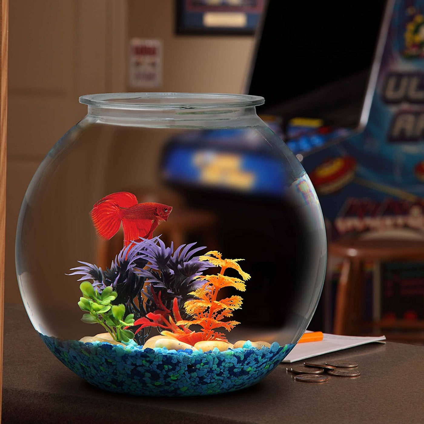 Koller Products Aqua Accents Plastic Round Bowl Aquarium Bowl - 2 Gal – Pet  Life