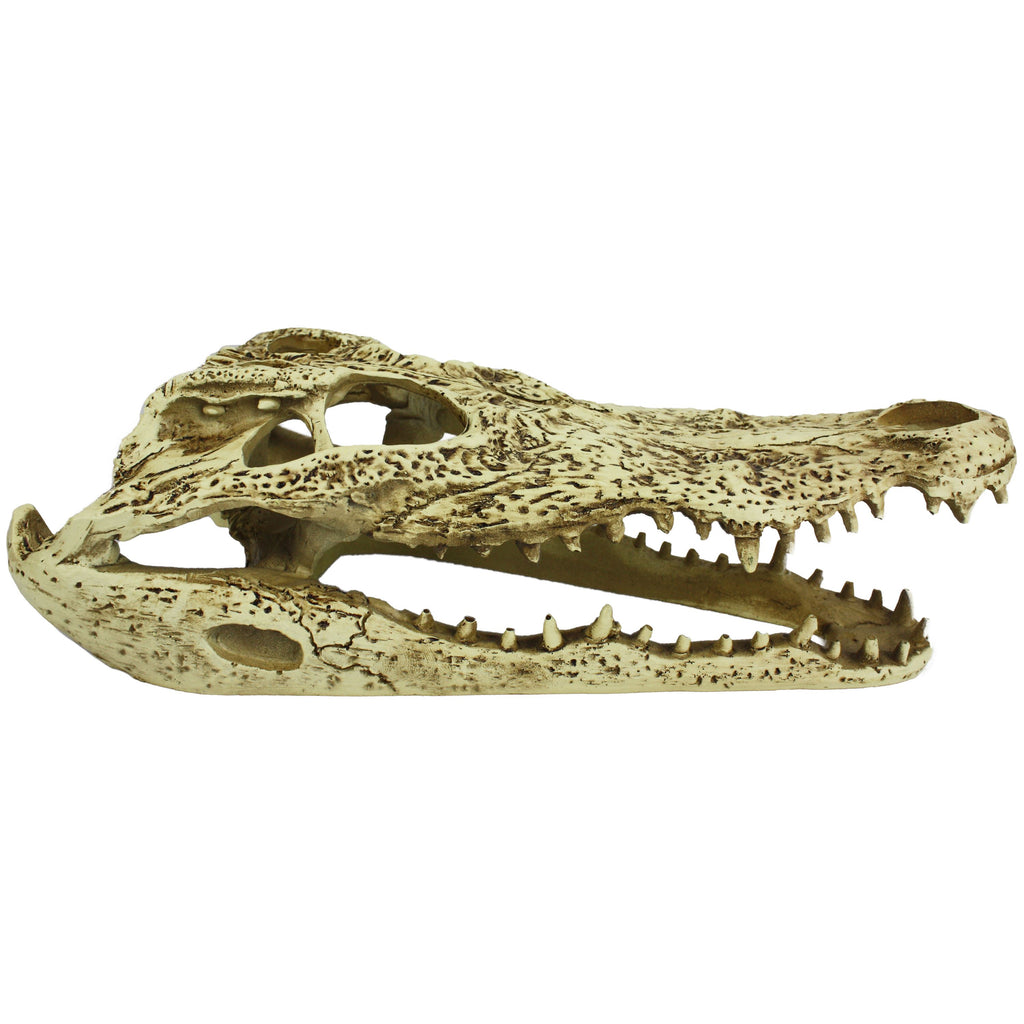 Komodo Alligator Skull Hideout - 9 in  