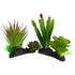 Komodo Cactus & Succulent Plant - One Size  