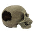 Komodo Full Human Skull Reptile Hideout - Gray - One Size  